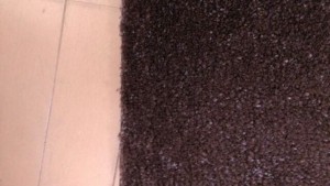 o0640036013462251126